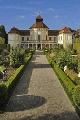 Ara Classic Ingolstadt